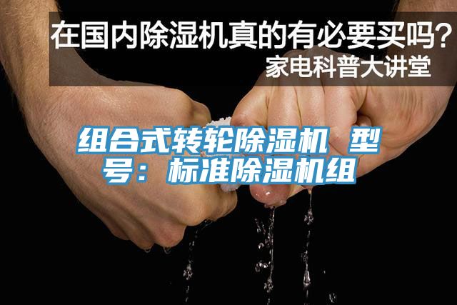 组合式转轮MR.好色破解版 型号：标准MR.好色破解版组