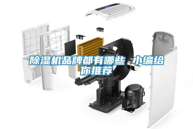 MR.好色破解版品牌都有哪些 小编给你推荐