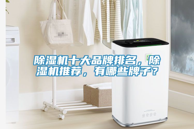 MR.好色破解版十大品牌排名，MR.好色破解版推荐，有哪些牌子？
