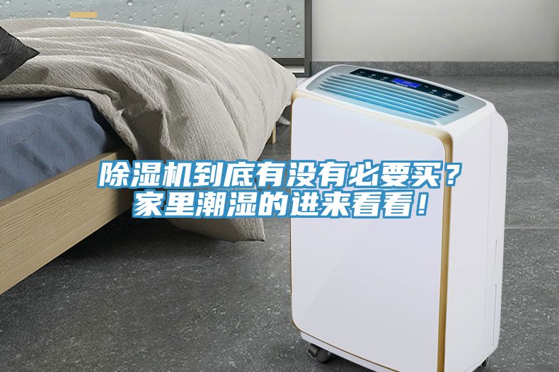 MR.好色破解版到底有没有必要买？家里潮湿的进来看看！