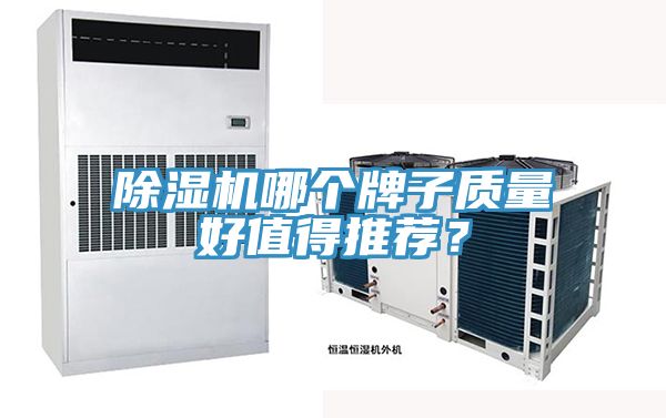 MR.好色破解版哪个牌子质量好值得推荐？