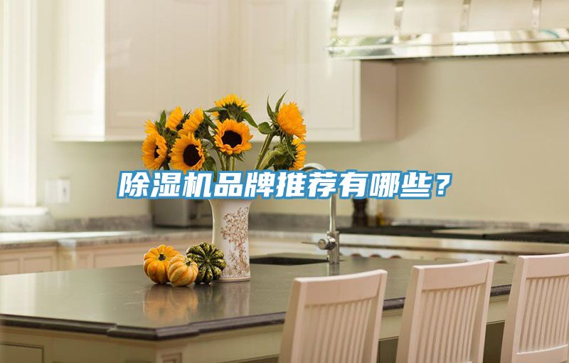 MR.好色破解版品牌推荐有哪些？