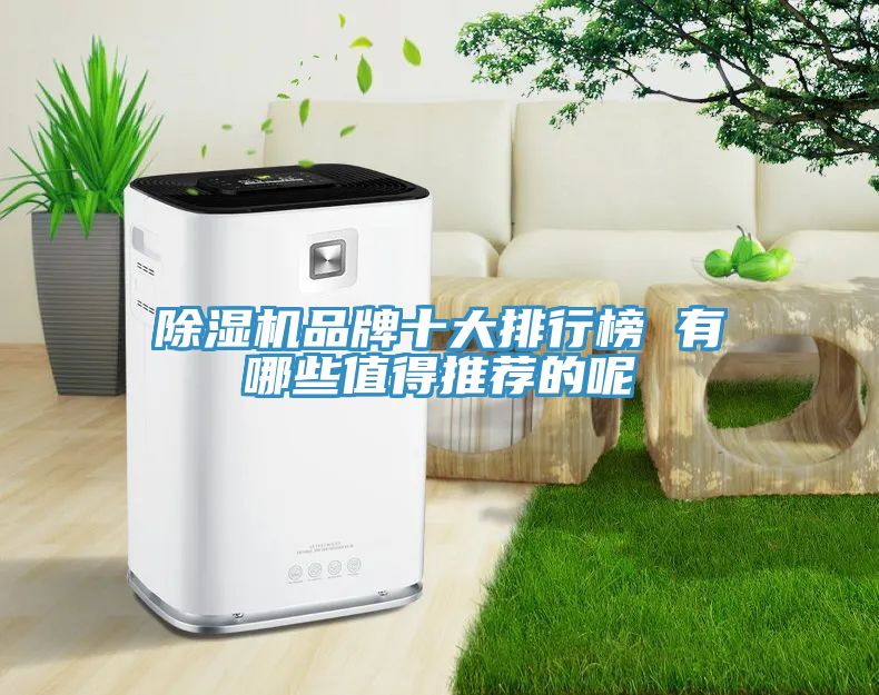 MR.好色破解版品牌十大排行榜 有哪些值得推荐的呢