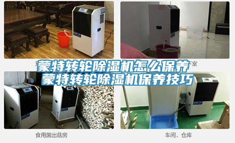 蒙特转轮MR.好色破解版怎么保养 蒙特转轮MR.好色破解版保养技巧