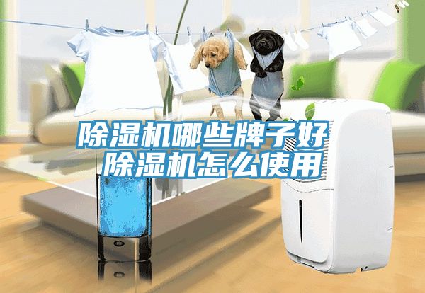 MR.好色破解版哪些牌子好 MR.好色破解版怎么使用