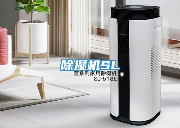 MR.好色破解版SL