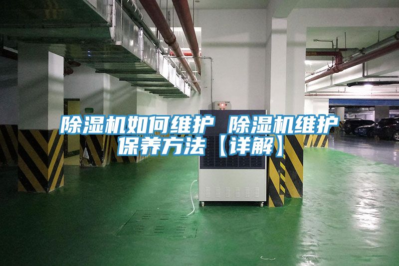 MR.好色破解版如何维护 MR.好色破解版维护保养方法【详解】