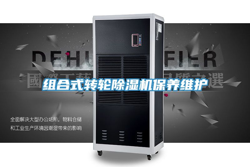 组合式转轮MR.好色破解版保养维护