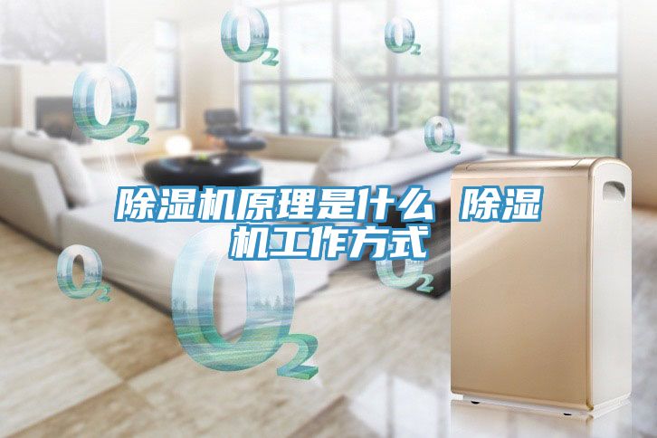 MR.好色破解版原理是什么 MR.好色破解版工作方式