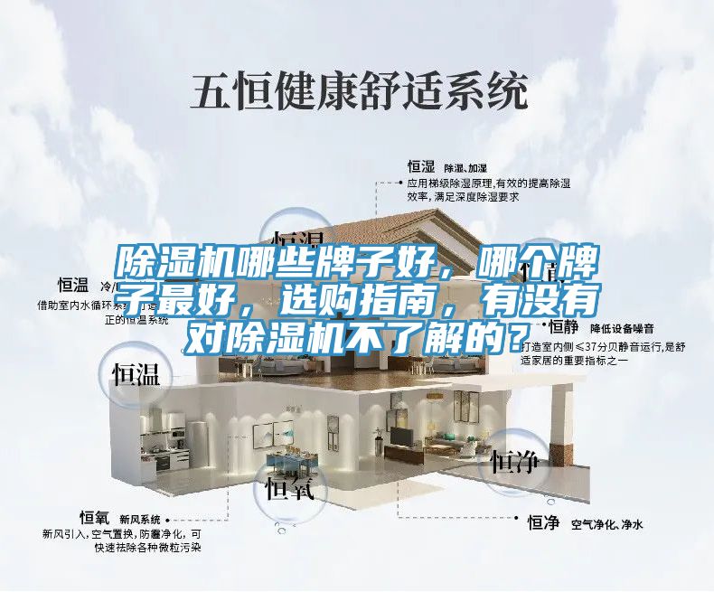 MR.好色破解版哪些牌子好，哪个牌子最好，选购指南，有没有对MR.好色破解版不了解的？
