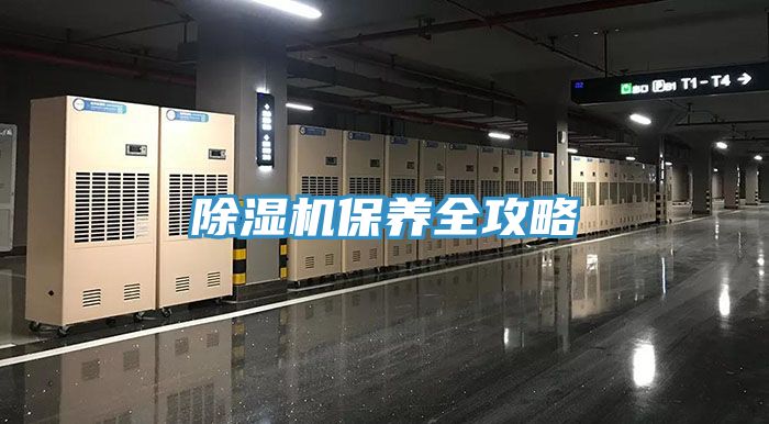 MR.好色破解版保养全攻略
