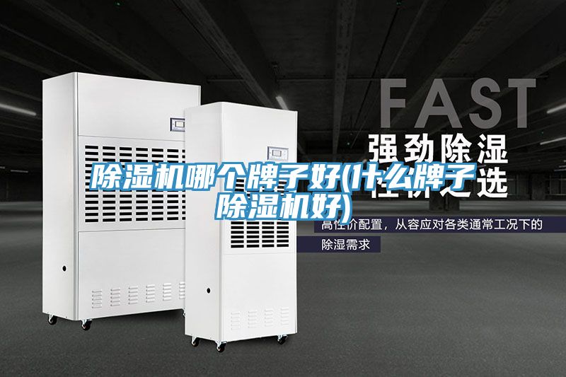 MR.好色破解版哪个牌子好(什么牌子MR.好色破解版好)