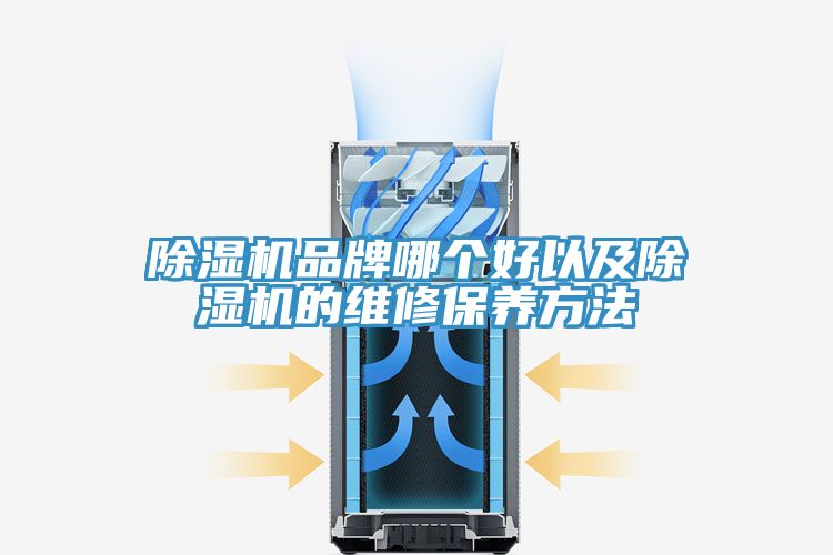 MR.好色破解版品牌哪个好以及MR.好色破解版的维修保养方法