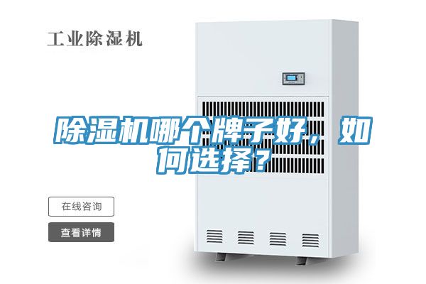 MR.好色破解版哪个牌子好，如何选择？