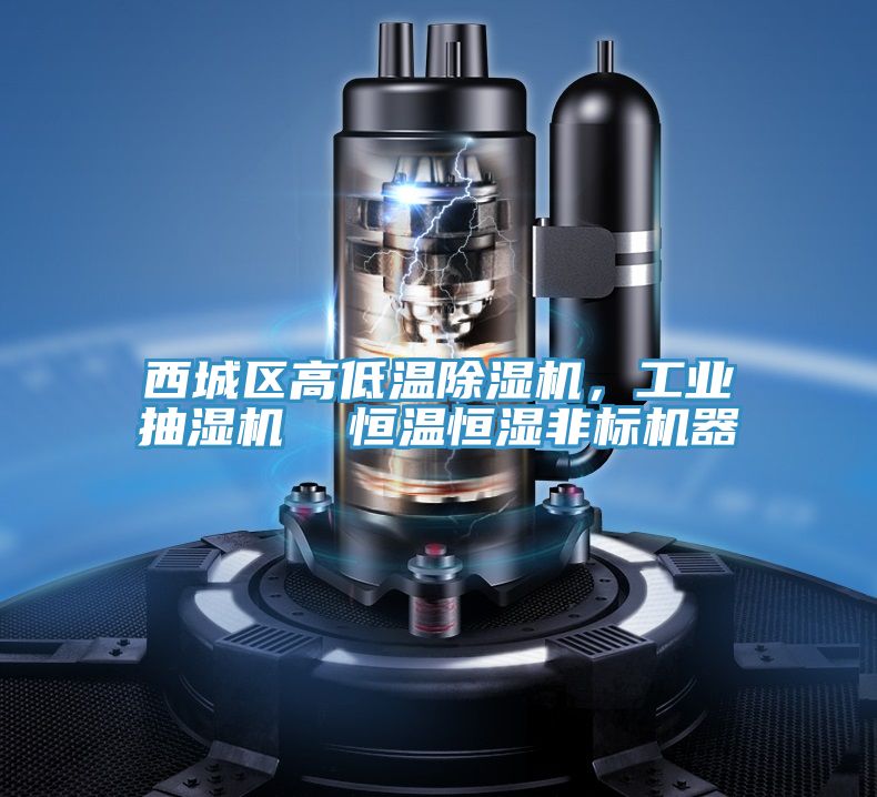 西城区高低温MR.好色破解版，工业抽湿机  恒温恒湿非标机器