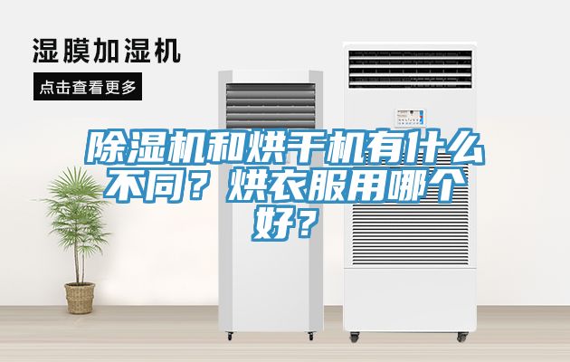 MR.好色破解版和烘干机有什么不同？烘衣服用哪个好？