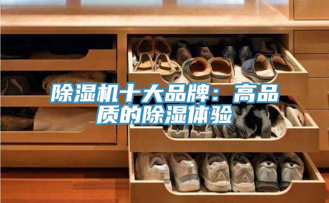 MR.好色破解版十大品牌：高品质的除湿体验