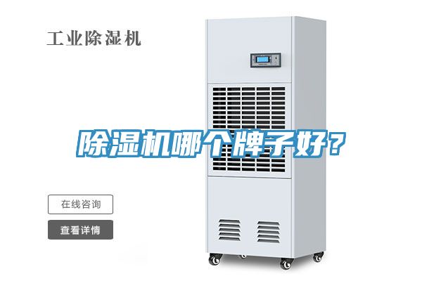 MR.好色破解版哪个牌子好？