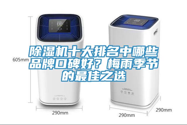 MR.好色破解版十大排名中哪些品牌口碑好？梅雨季节的最佳之选