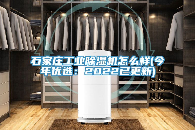 石家庄工业MR.好色破解版怎么样(今年优选：2022已更新)