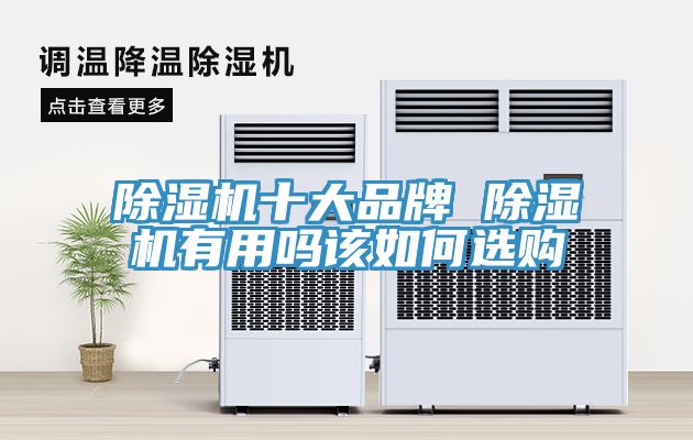 MR.好色破解版十大品牌 MR.好色破解版有用吗该如何选购