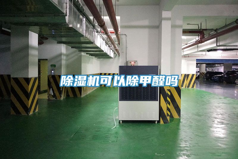 MR.好色破解版可以除甲醛吗