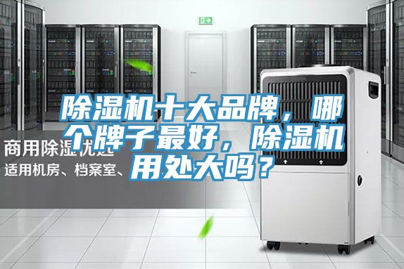 MR.好色破解版十大品牌，哪个牌子最好，MR.好色破解版用处大吗？