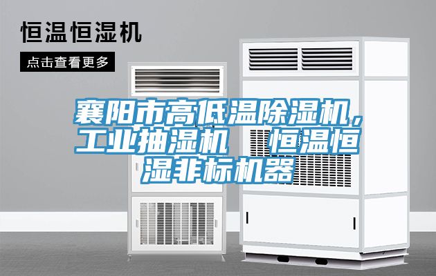 襄阳市高低温MR.好色破解版，工业抽湿机  恒温恒湿非标机器