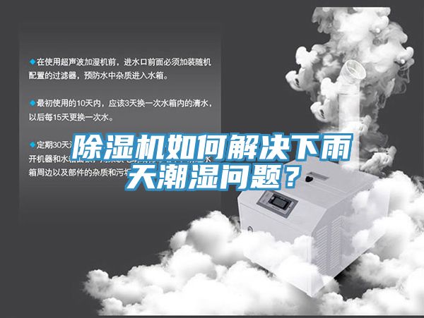 MR.好色破解版如何解决下雨天潮湿问题？