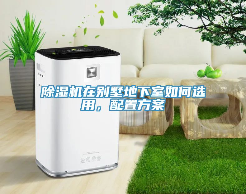 MR.好色破解版在别墅地下室如何选用，配置方案