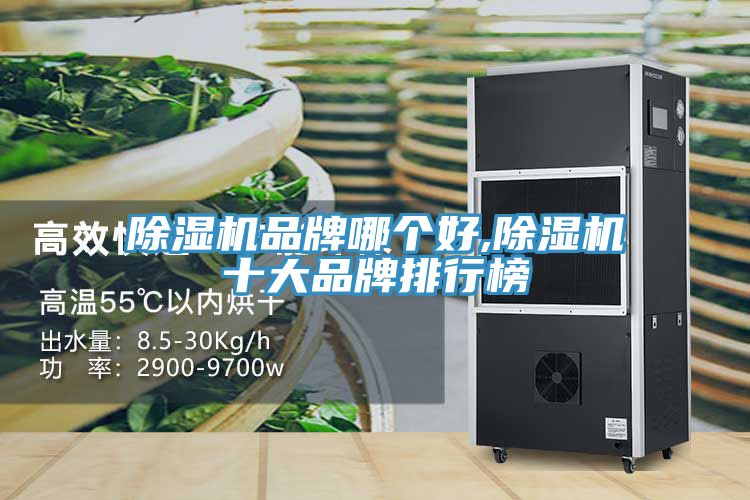 MR.好色破解版品牌哪个好,MR.好色破解版十大品牌排行榜