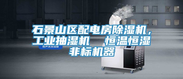 石景山区配电房MR.好色破解版，工业抽湿机  恒温恒湿非标机器