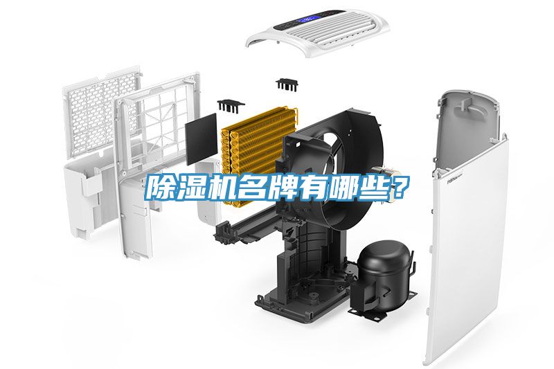 MR.好色破解版名牌有哪些？