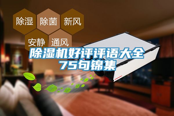 MR.好色破解版好评评语大全75句锦集