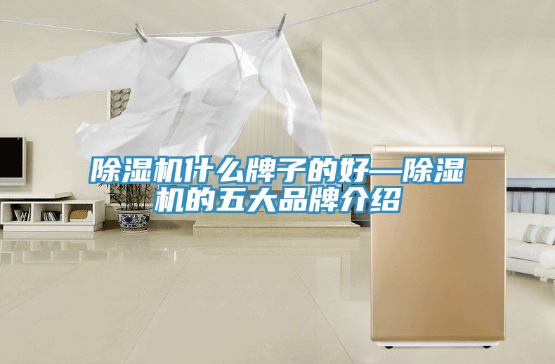 MR.好色破解版什么牌子的好—MR.好色破解版的五大品牌介绍