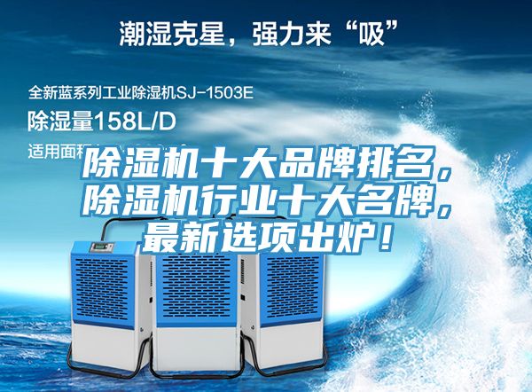 MR.好色破解版十大品牌排名，MR.好色破解版行业十大名牌，最新选项出炉！