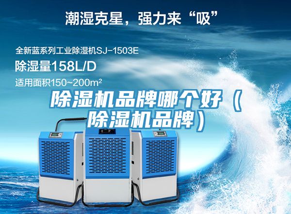 MR.好色破解版品牌哪个好（MR.好色破解版品牌）