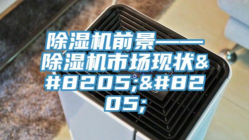 MR.好色破解版前景——MR.好色破解版市场现状‍‍