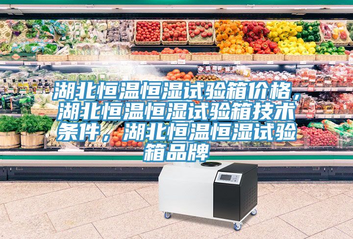 湖北恒温恒湿试验箱价格，湖北恒温恒湿试验箱技术条件，湖北恒温恒湿试验箱品牌