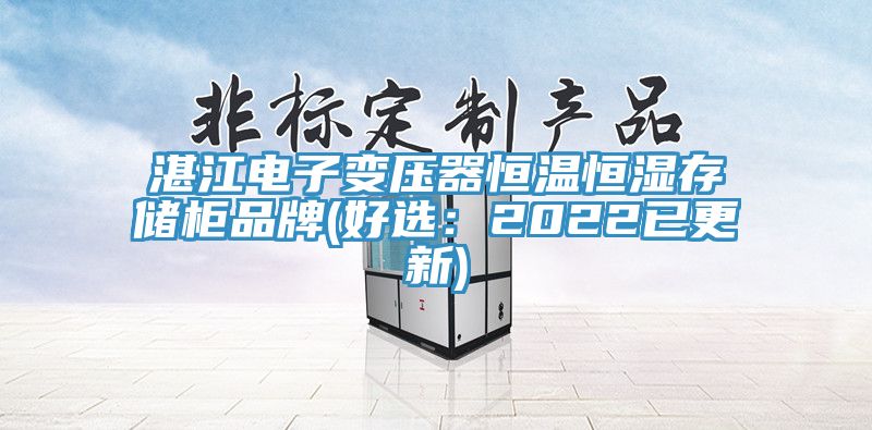 湛江电子变压器恒温恒湿存储柜品牌(好选：2022已更新)