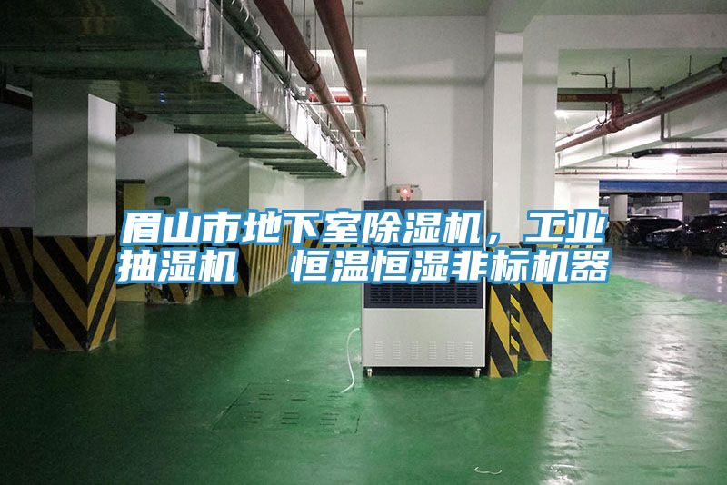 眉山市地下室MR.好色破解版，工业抽湿机  恒温恒湿非标机器
