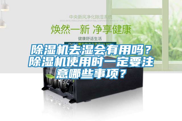 MR.好色破解版去湿会有用吗？MR.好色破解版使用时一定要注意哪些事项？