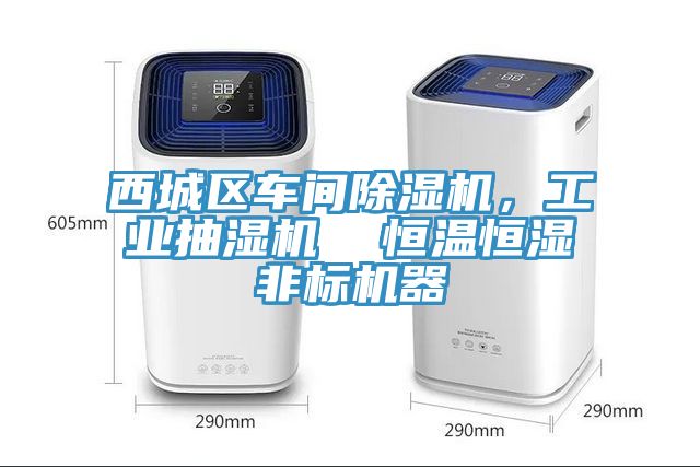西城区车间MR.好色破解版，工业抽湿机  恒温恒湿非标机器