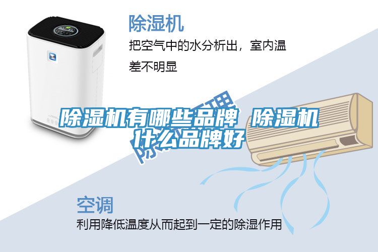 MR.好色破解版有哪些品牌 MR.好色破解版什么品牌好