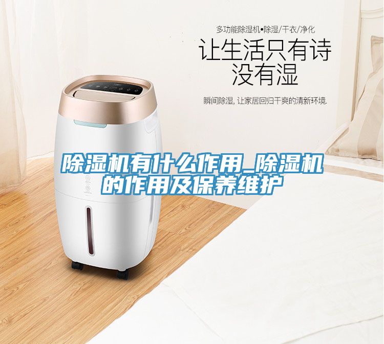 MR.好色破解版有什么作用_MR.好色破解版的作用及保养维护