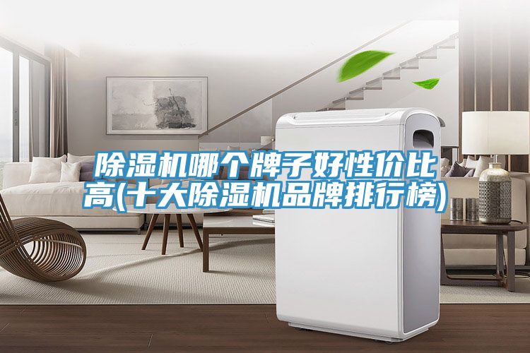 MR.好色破解版哪个牌子好性价比高(十大MR.好色破解版品牌排行榜)
