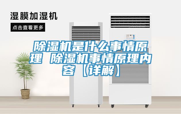 MR.好色破解版是什么事情原理 MR.好色破解版事情原理内容【详解】