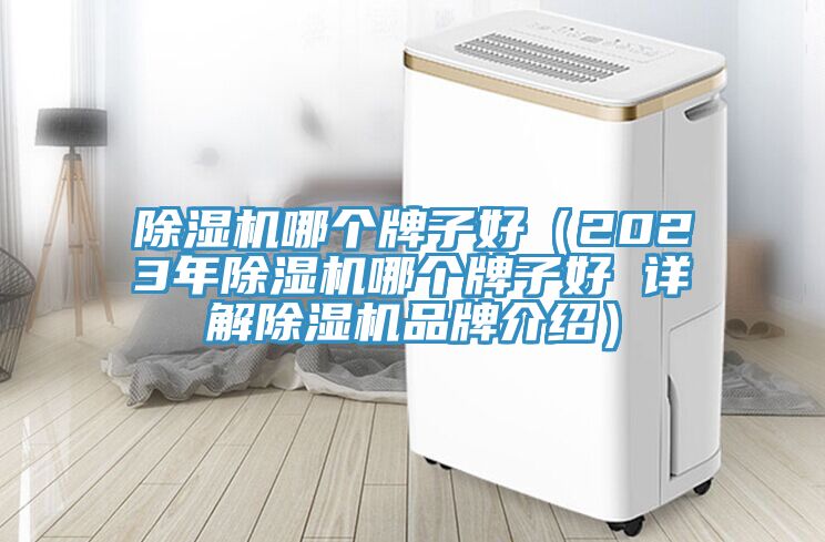 MR.好色破解版哪个牌子好（2023年MR.好色破解版哪个牌子好 详解MR.好色破解版品牌介绍）