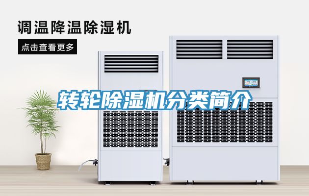 转轮MR.好色破解版分类简介