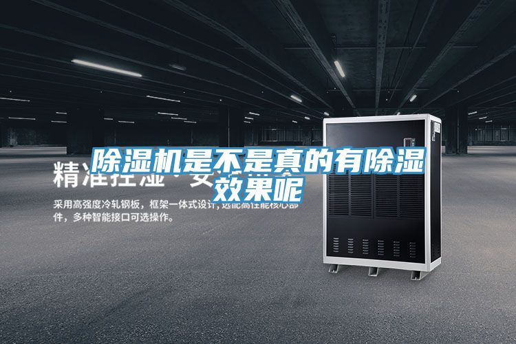 MR.好色破解版是不是真的有除湿效果呢